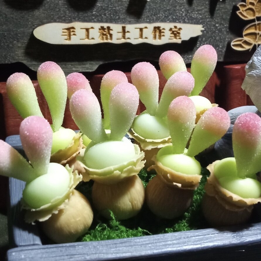 Cc手作树脂黏土仿真多肉植物毛汉尼小兔子碧光环桌面装饰生日礼物