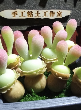 Cc手作树脂黏土仿真多肉植物毛汉尼小兔子碧光环桌面装饰生日礼物