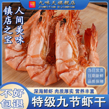 九节虾特大号对虾干干货烤虾干非即食零食海虾干广西特产虾仁海米