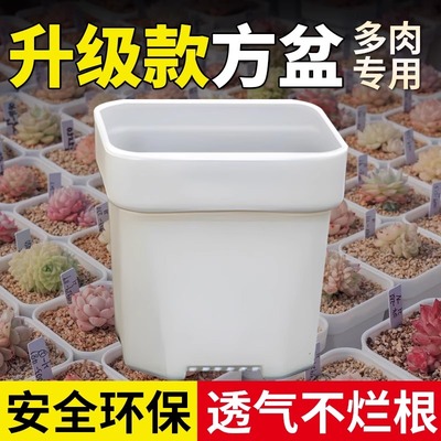 多肉花盆加厚塑料大号圆角磨砂小黑方白色叶插盆肉肉植物盆栽方盆