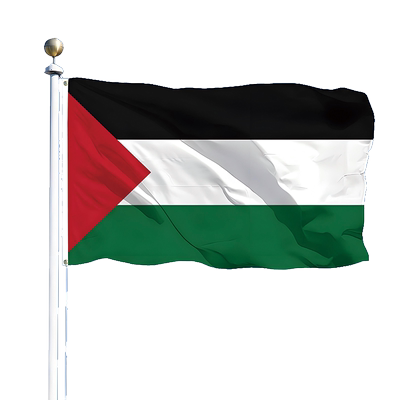巴勒斯坦国旗palestine世界各国装饰旗帜花园旗现货各国定制小国旗手摇旗红旗旗帜大号国旗外国以色列国旗