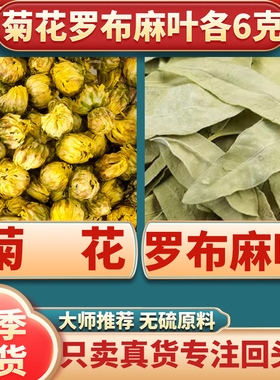 菊花罗布麻叶各6克组合茶正品官方旗舰店中药材煮水喝功效与作用