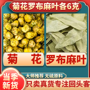 菊花罗布麻叶各6克组合茶正品官方旗舰店中药材煮水喝功效与作用