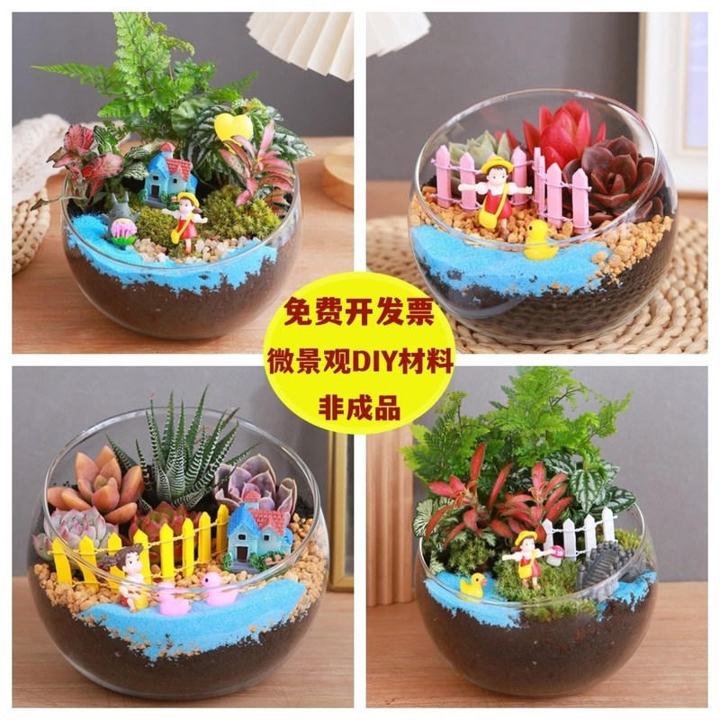 苔藓微景观沙龙手工diy材料包