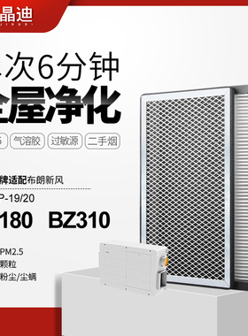 适用于布朗新风中央新风主机滤网BZ180/BZ310滤芯BLGLP-19/20集尘