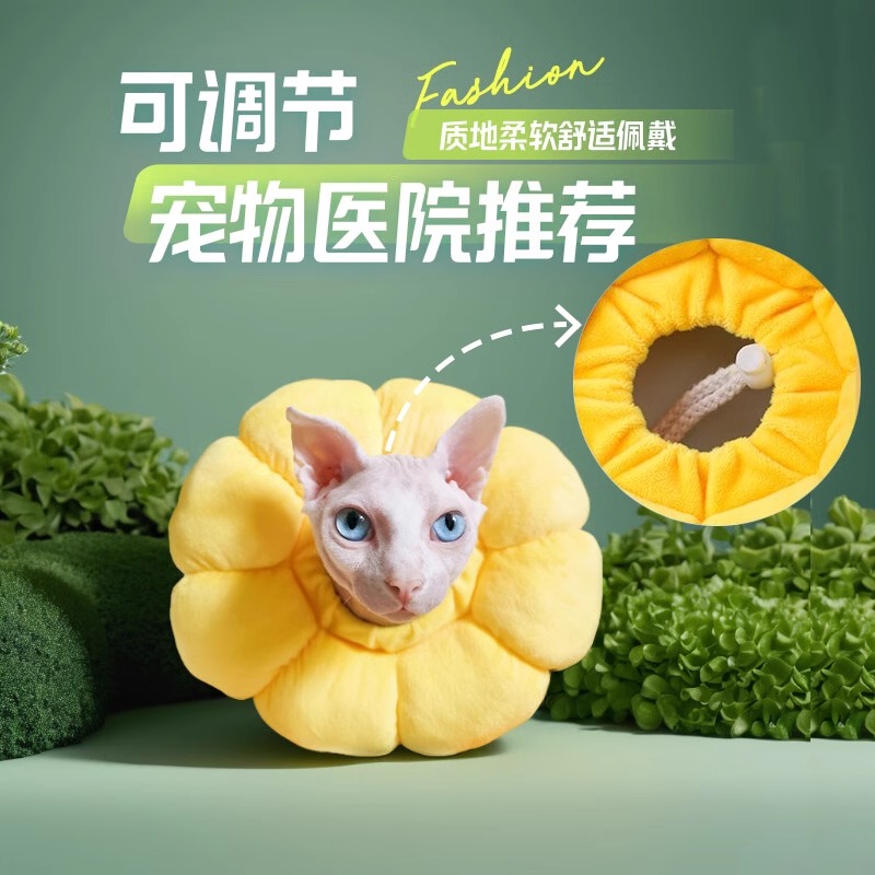 伊丽莎白宠物伊丽莎白圈