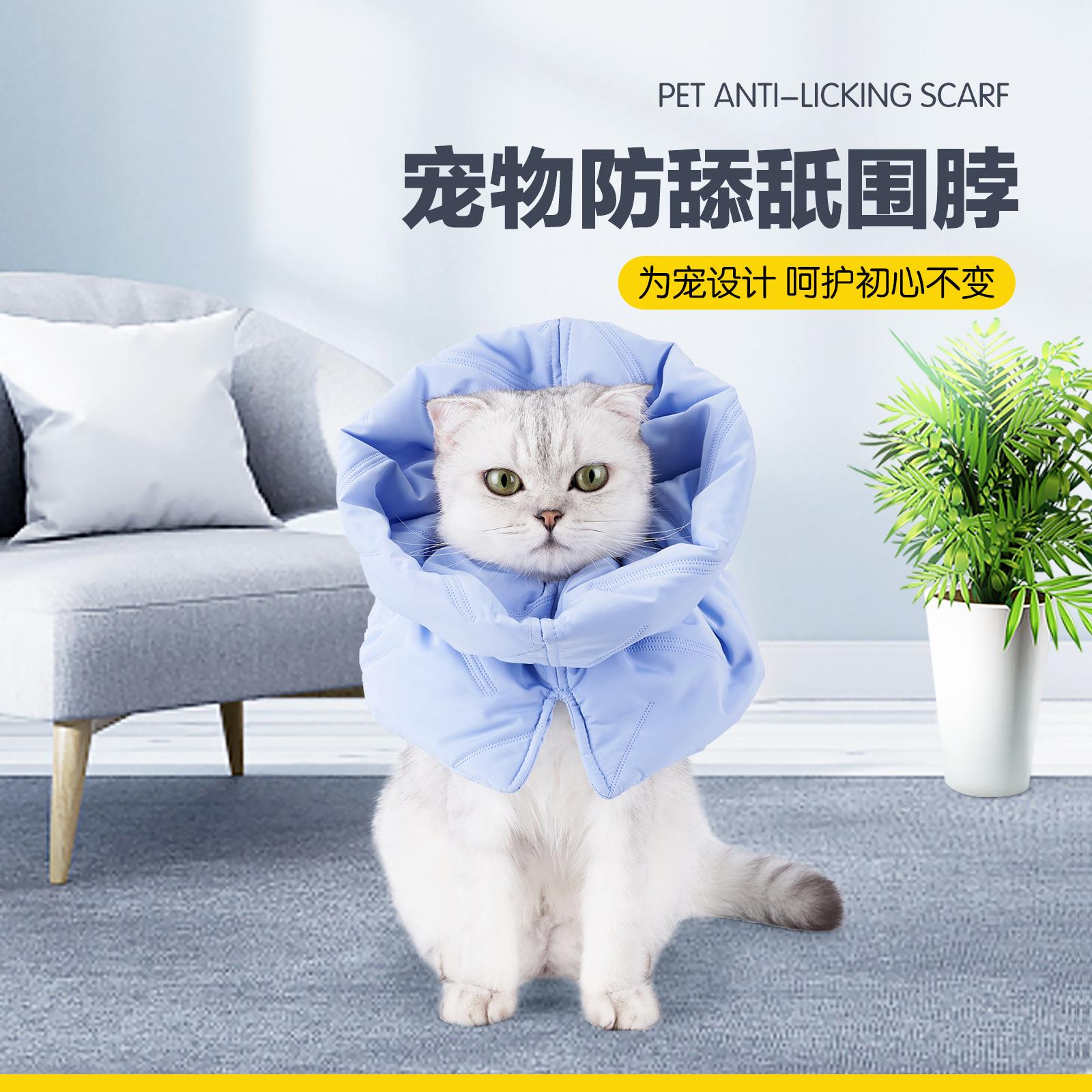圈防猫咪舔术后围脖圈伊丽莎白宠物用品脖圈猫咪伊丽莎白跨境绝育
