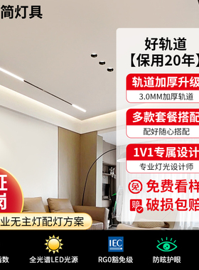 【国补】繁简磁吸轨道灯嵌入式线形泛光灯智能无主灯客厅照明套餐