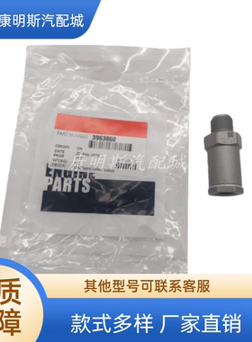 康明斯ISLE发动机3963808柴油机高压共轨限压阀1110010020
