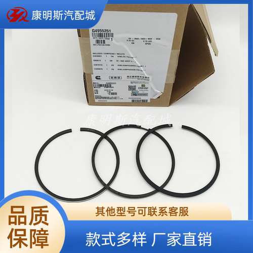 东风康明斯ISDE活塞环4955251