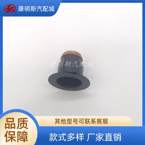 康明斯纯正备件6CT气阀杆油封