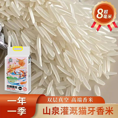 超长粒象牙香米2025年新米正宗猫牙米长粒香米丝苗米优质一级大米