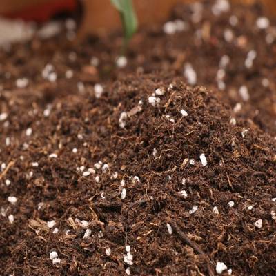 营养土包邮有机通用型草炭