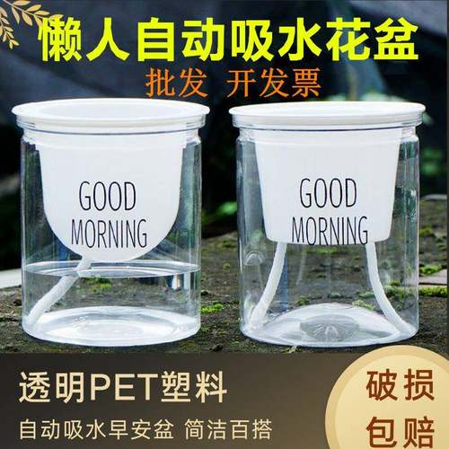 塑料水培透明懒人自动吸水早安盆黄金葛北欧简约吊兰绿植多肉花盆