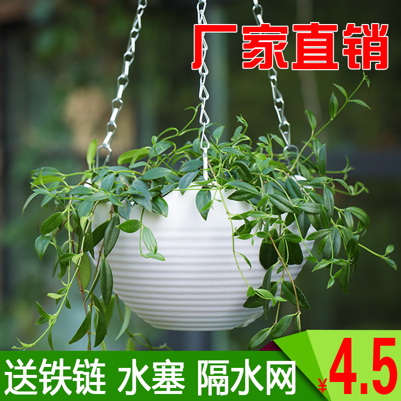 吊兰吊篮花盆垂吊盆悬挂式挂钩养种绿萝专用的室内自吸水塑料花盆