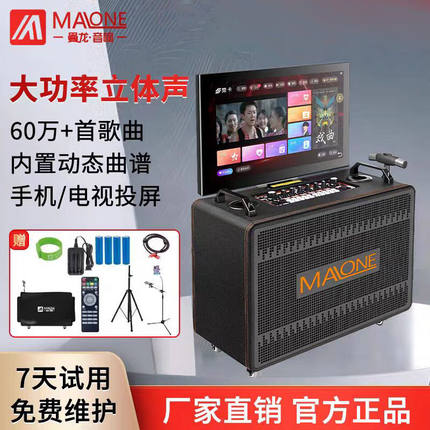 曼龙（MALONE）户外音箱带无线话筒直播K歌音响自带声卡内录显示