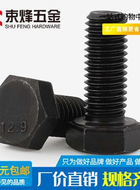 M10M12M14M1618M20 12.9级全牙外六角螺丝全螺纹螺栓 *30x100x200