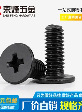 M1.6M2M3M4M5M6 黑色304不锈钢薄十字扁平头螺丝笔记本数码螺丝
