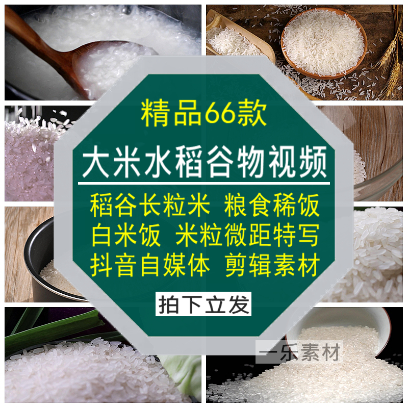 大米水稻谷物短视频长粒稀白米饭粒主粮食特写抖音自媒体剪辑素材