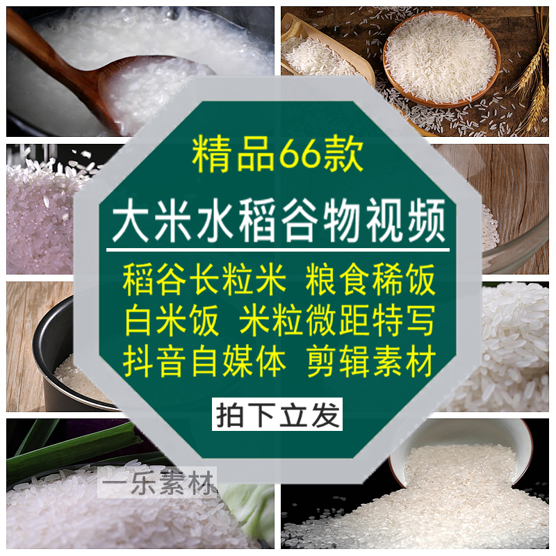大米水稻谷物短视频长粒稀白米饭粒主粮食特写抖音剪辑自媒体素材