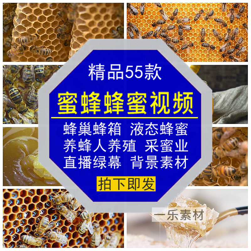 蜜蜂蜜视频养殖蜂巢箱人采蜜业液态直播带货绿幕高清背景剪辑素材