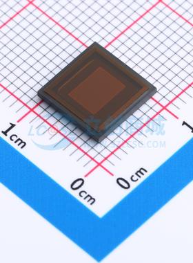 AR0135CS2M00SUEA0-DPBR IBGA-63 图像传感器 ON(安森美)全新原装