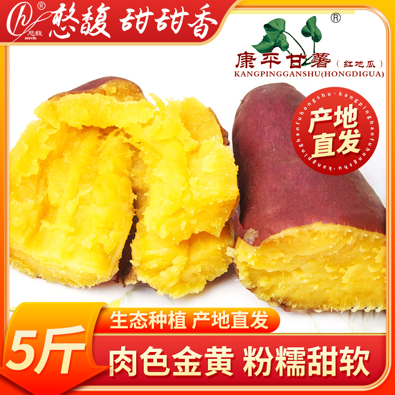 康平甘薯红薯地瓜甜甜香5斤装纯山地新鲜当季软糯番薯憨馥沙地