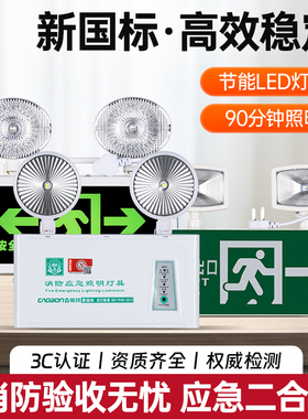 消防应急灯安全出口指示牌新国标LED照明灯充电电源标志应急灯