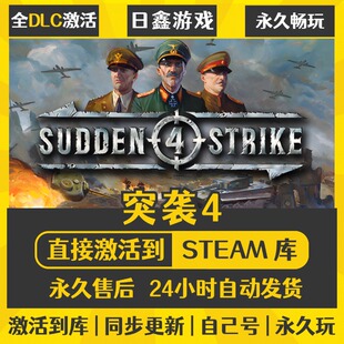 STEAM突袭4激活码CDKEY全DLC国区游戏入库全球激活中文PC电脑游戏