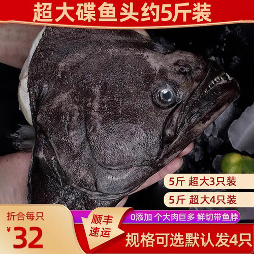 【新品新货】碟鱼头新鲜冷冻雅片鱼头超大鱼头海鲜水产深海鲽鱼头