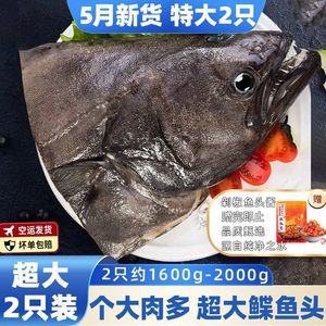 格陵兰深海碟鱼头雅片鱼头新鲜冷冻鸦片鱼头大鲽鱼特大鱼头鲽鱼头