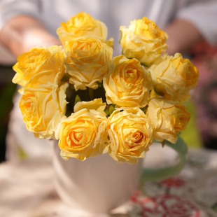 黄色焦边玫瑰花 餐桌花 奶黄色 奶油系 假花 摆件仿真花