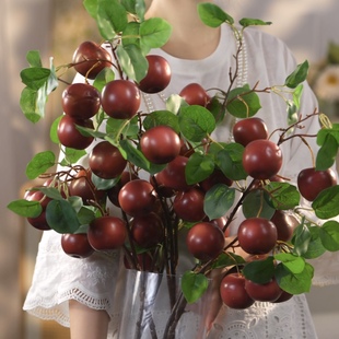 蛇果大苹果 暗红色 仿真水果 餐桌简约风复古风仿真花