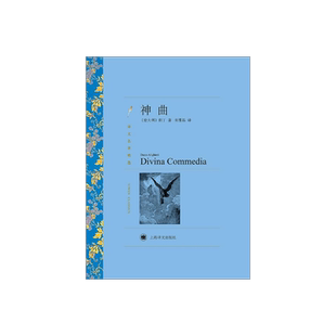 神曲 但丁著 朱维基译 译文名著精选 世界名著 意大利文学小说书籍 名著经典读物 中古文化 上海译文出版社 正版