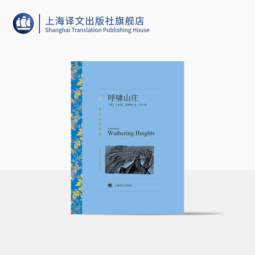 译文名著精选 平装