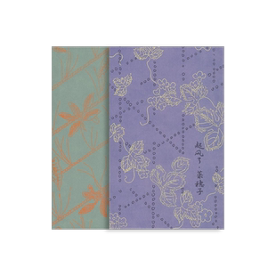 起风了·菜穗子 [日] 堀辰雄 吴大有译 影像纪念册 宫崎骏动画电影收官之作起风了原著小说 上海译文出版社旗舰店