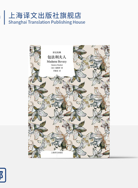 包法利夫人 福楼拜著 李健吾译 译文经典 经典译本 新艺术法典法国文学 上海译文出版社 正版