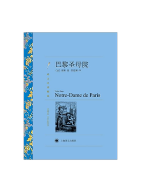 巴黎圣母院 雨果著 管震湖译 译文名著精选 世界名著 法国文学小说 外国名著 经典读物 上海译文出版社 正版