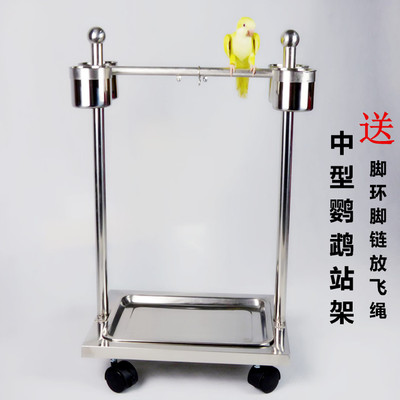 鹦鹉站架/中大型鸟架/栖息架/送水果叉/不锈钢脚链和尚折中灰鹦鹉