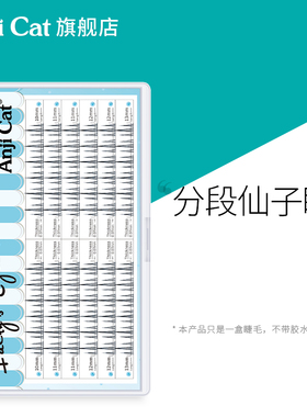anjicat分段仙子睫毛羽扇款A型假睫毛细梗韩式韩系女团自嫁接睫毛