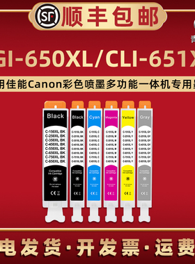 适用佳能PGI-650彩色CLI-651喷墨PIXMA MG5460打印机MG5560 MG5660 MG6460专用墨盒MG6660更换六色磨合水彩墨