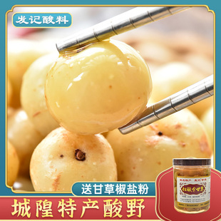 广西酸嘢 发记甜酸余甘果 城隍酸料牛甘果酸野酸辣油甘子腌制玉林