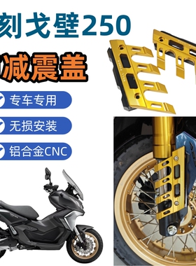 力刻戈壁250ADV改装前挡泥板防摔保护盖前减震保护盖