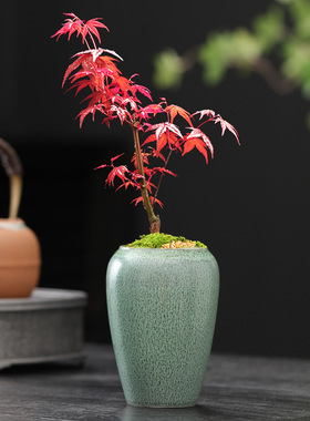 高桩花盆小号复古粗陶透气法师高盆特价清仓多肉植物带托家用陶瓷