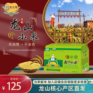 龙之草 2025新米 礼盒5斤装章丘特产龙山小米杂粮健康小黄米