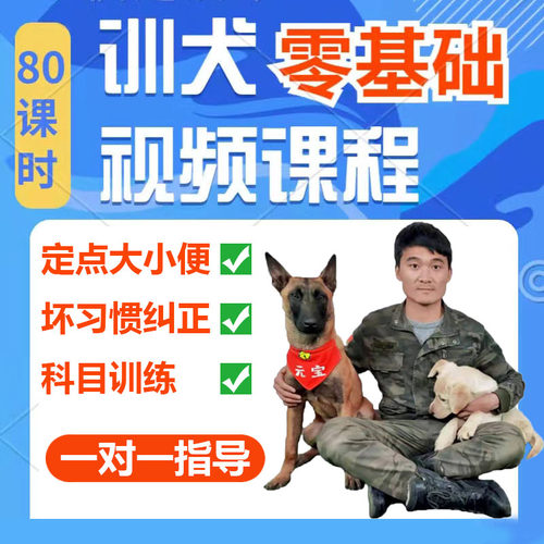 训狗教程视频一对一指导永久服务