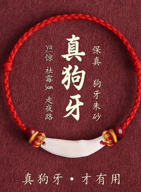 真狗牙朱砂手绳宝宝儿童僻惊邪压