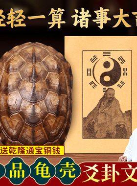 文玩天然真乌龟壳六十四卦爻卦摇卦工具龟甲干干隆铜钱盘玩手把件
