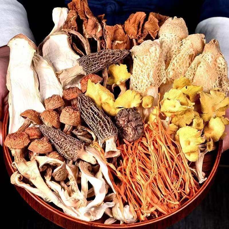 七彩菌汤包云南原产菌菇羊肚菌虫草花鸡油菌食用菌煲汤营养浓郁