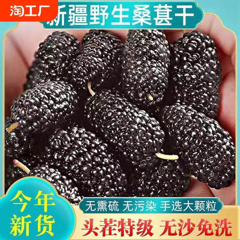 新疆包邮特产黑桑葚干特级无添加桑葚免洗罐装桑椹优质养生甄选